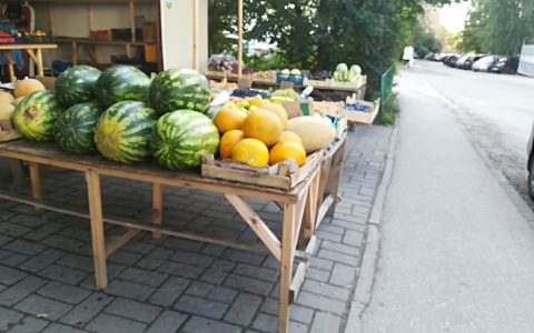 В десятки раз выше нормы: что Роспотребнадзор нашел в арбузах и дынях с нижегородских прилавков