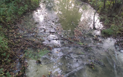 В Дзержинске ручей превратился в канализацию