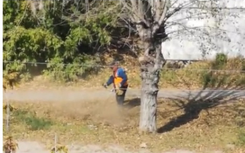 Деньги нужно осваивать: дворники-авангардисты придумали новый способ покоса травы (ВИДЕО)