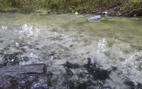 Кто превратил водоем в канализацию: в Дзержинске проверили Васильевский ручей