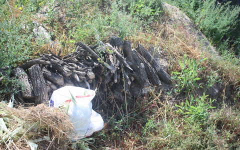 Депутаты Дзержинска намерены ужесточить наказание за нарушения связанные с отходами