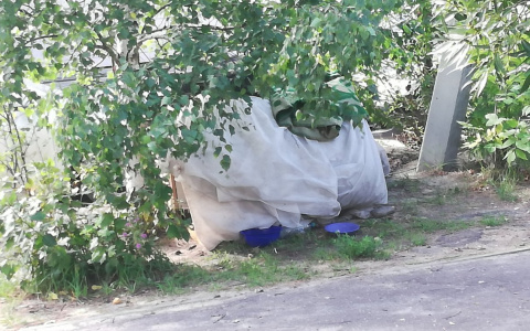 Жительница Дзержинска держит в страхе целый район