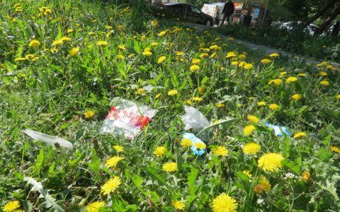 В Дзержинске проходит успешная реализация проекта экокарты