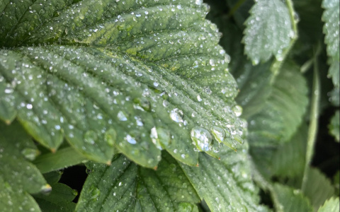 В Нижегородскую область вернется бабье лето