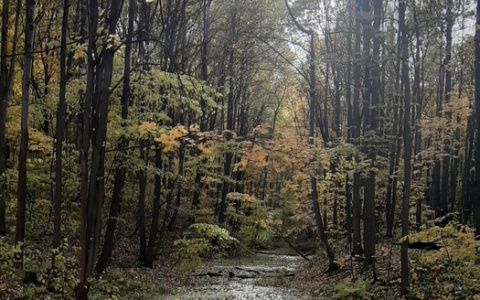 Резкое похолодание придет в Нижегородскую область в конце недели