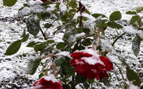 Снег и заморозки придут в Нижегородскую область на этой неделе