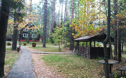 Теплые и дождливые выходные ждут жителей Нижегородской области