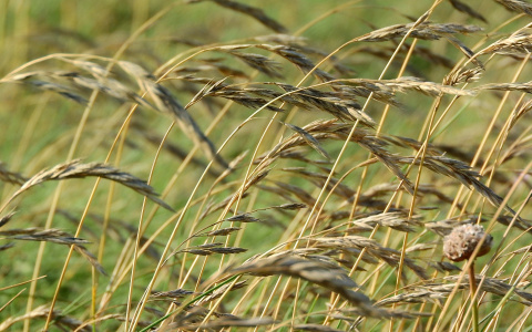 Сильные ветры ожидаются в Нижегородской области 27 октября