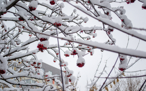 Мокрый снег и заморозки придут в Нижегородскую область