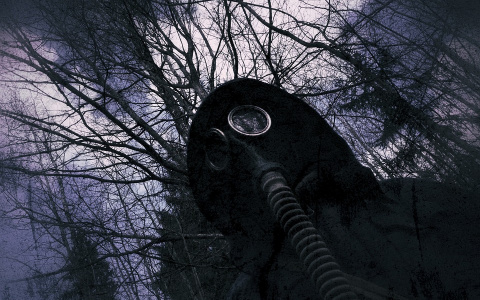 «Гринпис» сообщил о ввозе радиоактивных отходов в Россию