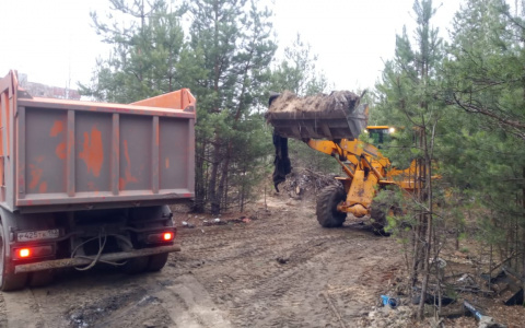 Крупная незаконная свалка в Дзержинске будет уничтожена в ближайшее время