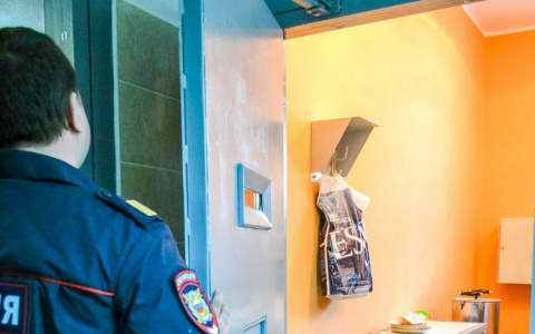 Красиво спелись: женщина и подросток продавали наркотики в Нижнем Новгороде