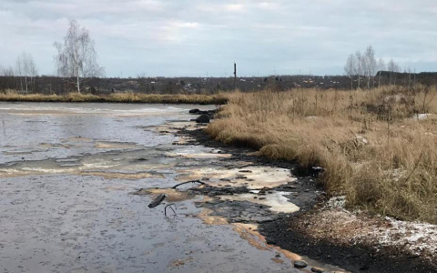 В Нижегородской области проведут исследования накопленных свалок