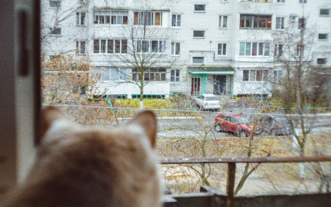 Резкое похолодание ожидается в Дзержинске 12 декабря