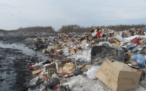 Более одного миллиарда выделят на ликвидацию свалок в Дзержинске