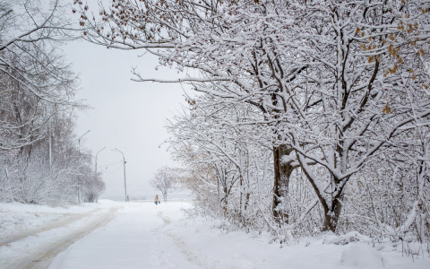 Синоптики предупреждают нижегородцев о гололеде, метели и шквалистом ветре 19 и 20 декабря