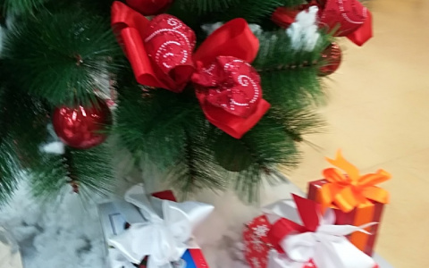 Насколько они безопасны: Роскачество нашло формальдегид в искусственных елках