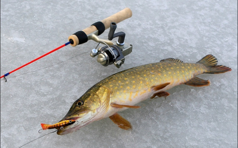 Карта зимовальных ям в Нижегородской области