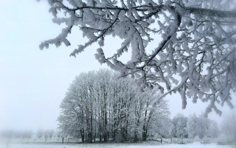 МЧС предупреждает нижегородцев о гололеде 28 и 29 декабря