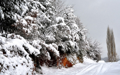 Молодая нижегородка погибла на снежной горке
