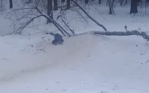 Это может закончиться трагедией: дзержинцы построили снежную горку, которая ведет в дерево