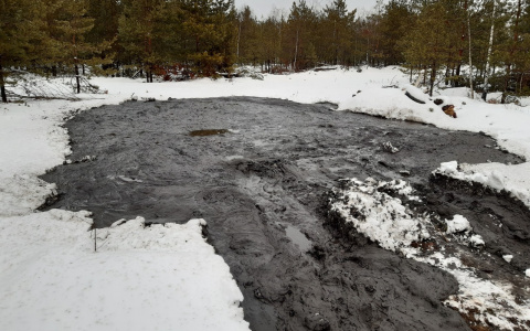 В Дзержинске неизвестные разлили техническое вещество