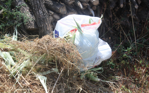 Дзержинск переходит на раздельное накопление мусора