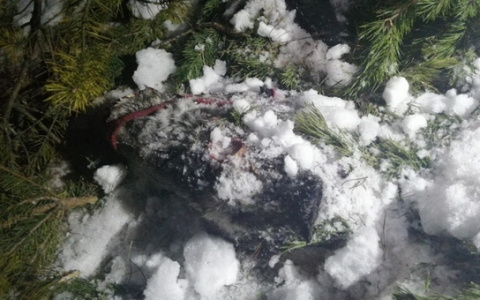 Жуткие подробности раскрылись после визита на злополучную конюшню (ФОТО и ВИДЕО)