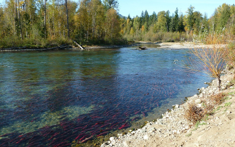 С 1 апреля нижегородцам запретят ловить рыбу