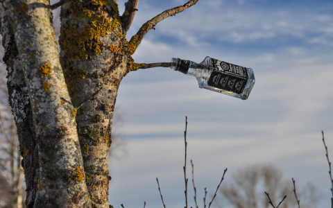 Вопрос сезонной чистоты: "Как сделать город чище"