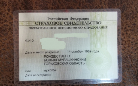 В России отменят карточку СНИЛС