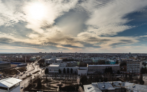 В Нижегородской области вновь начнут продавать цветы, автозапчасти и садовую технику