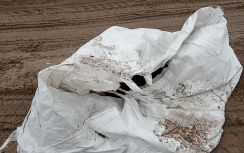 В Дзержинске нашли мешок с трупами собак