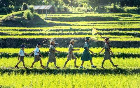 Детские лагеря в Нижегородской области откроются с 25 июня