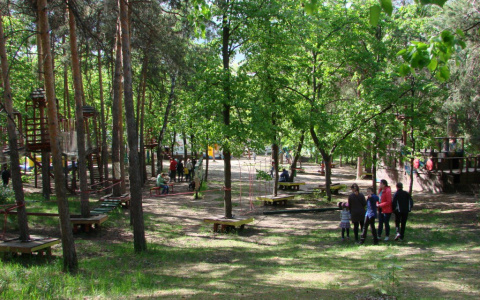 На озеленение парка в Дзержинске потратят 60 миллионов рублей