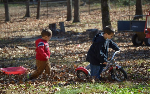 В детских садах Нижегородской области откроют 101 дежурную группу