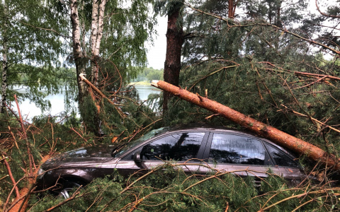 В Богородском районе машины у палаточного лагеря завалило деревьями