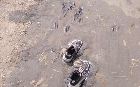 Женщина увязла в битуме пока гуляла с ребенком в Дзержинске