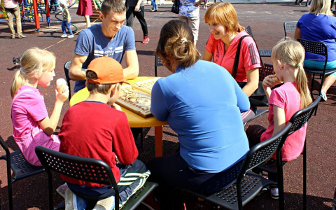 В Дзержинске пройдет флешмоб «Хоровод для дворца»