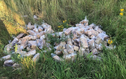 Десятки буханок хлеба нашли в зарослях Дзержинска