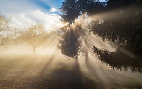 Летняя жара сохранится в Нижегородской области