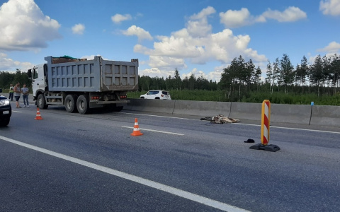 В Дзержинске водитель грузовика задавил дорожного рабочего