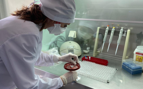 Коронавирус в Нижегородской области: статистика на 10 августа