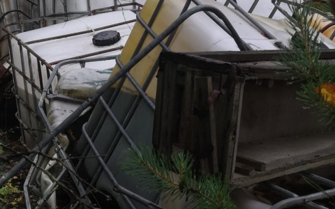 Несанкционированная свалка промышленных отходов обнаружена в лесу Дзержинска