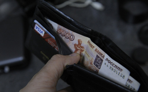 Член Совфеда назвал условия новых выплат на детей до 16 лет