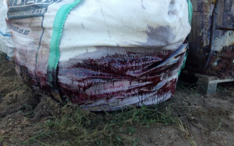 Свалку "зловонных" химических отходов нашел очевидец под "Лесной поляной"