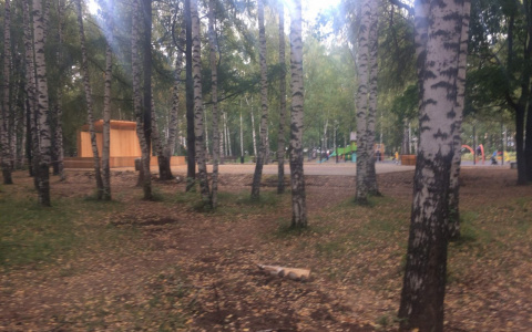 Жителей Дзержинска ожидают похолодание и дожди