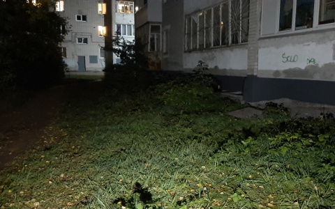 Появились подробности падения школьницы с балкона в Дзержинске