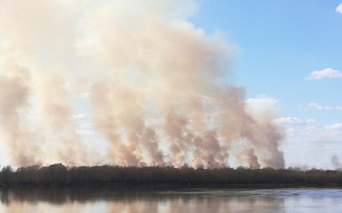 Три жительницы Дзержинска погибли на отдыхе