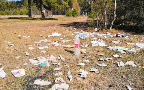 Жители Дзержинска вышли на улицу, чтобы очистить город от грязи (ФОТО)